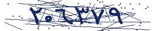 کد امنیتی